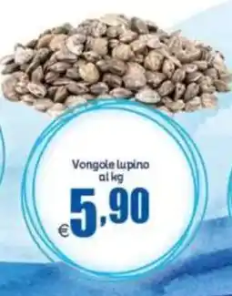 Elite Vongole lupino offerta