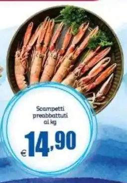 Elite Scampetti preabbattuti offerta