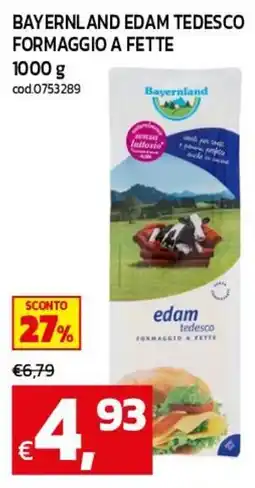 C+C maxigross Bavaria edam tedesco offerta