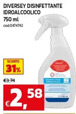 C+C maxigross Diversey disinfettante idroalcolico offerta