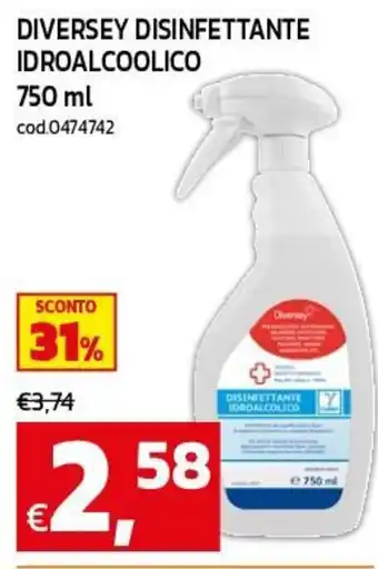 Diversey disinfettante idroalcolico
