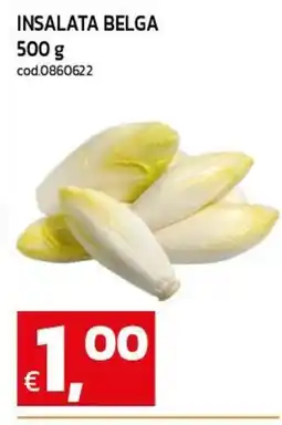 C+C maxigross Insalata belga offerta