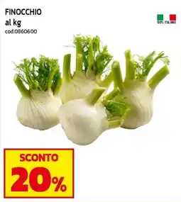 C+C maxigross Finocchio offerta