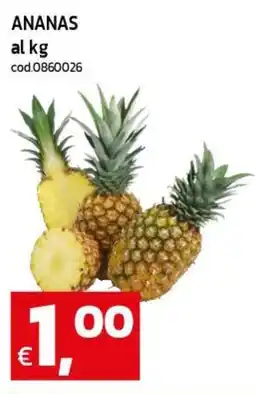 C+C maxigross Ananas offerta
