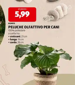 ALDI Romeo peluche olfattivo per cani offerta
