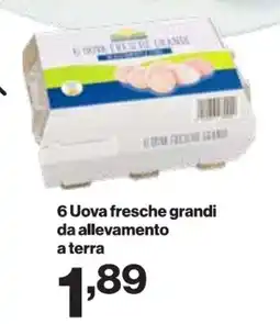 In'S Mercato Uova fresche grandi offerta