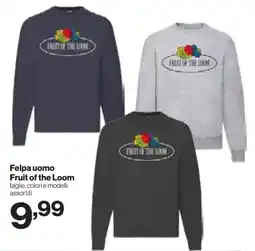 In'S Mercato Felpa uomo Fruit of the Loom offerta