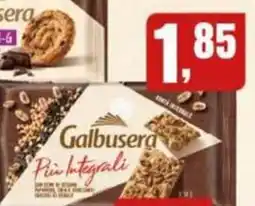 Migro Galbusera Pin Integrali offerta