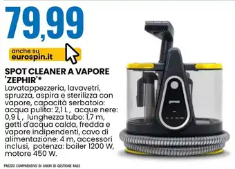 Spot cleaner a vapore ZEPHIR
