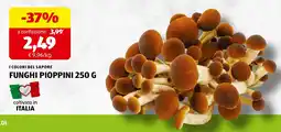 ALDI Funghi pioppini offerta