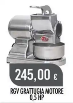 Scelgo RGV Grattugia Motore offerta