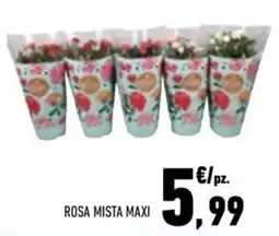 Conad City Rosa mista maxi offerta