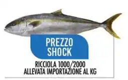 Scelgo Ricciola offerta