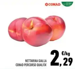 Conad Superstore Nettaria gialla Conad Percorso Qualità offerta