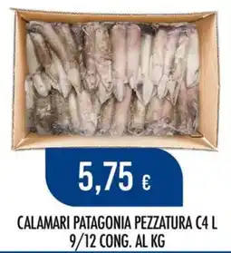 Scelgo Calamari Patagonia offerta
