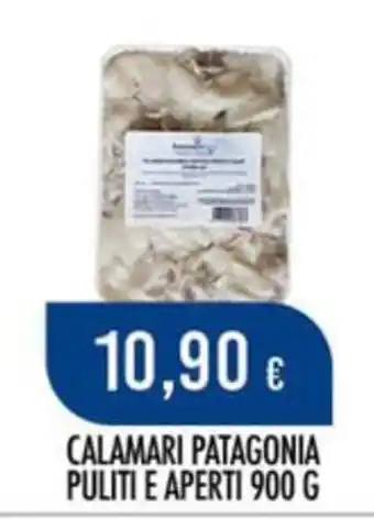 Calamari Patagonia