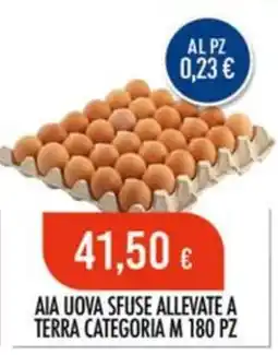 Scelgo Uova sfuse allevate a terra categoria m offerta