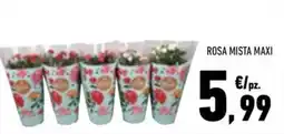 Conad Margherita Rosa mista maxi offerta