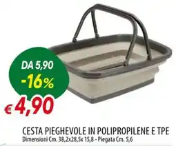 IperFamila Cesta pieghevole in polipropilene e tpe offerta