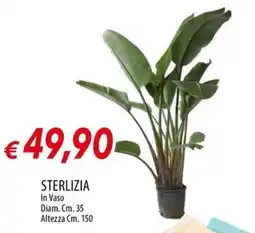 IperFamila Sterlizia offerta