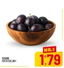 Ard Discount Susine offerta