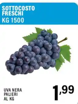 Gecop Uva nera Palieri offerta