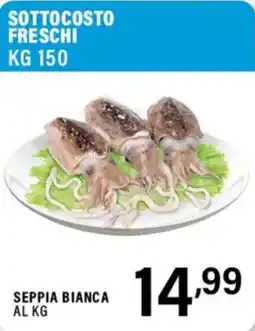 Gecop Seppia bianca offerta