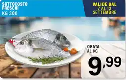 Gecop Orata offerta