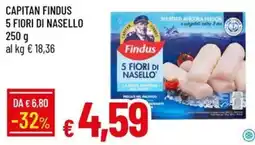 IperFamila Findus 5 Fiori di Nasello offerta