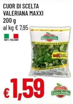 IperFamila Valeriana Maxxi offerta