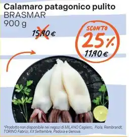 Gelmarket Calamaro patagonico pulito BRASMAR offerta