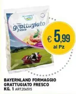PGS Cash&Carry Bavaria formaggio grattugiato fresco offerta