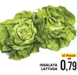 Mazzeo Supermercati Insalata lattuga offerta