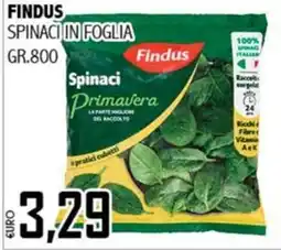 Big Food Spinaci in foglia Findus offerta