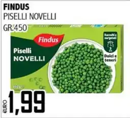 Big Food Findus Piselli Novelli offerta