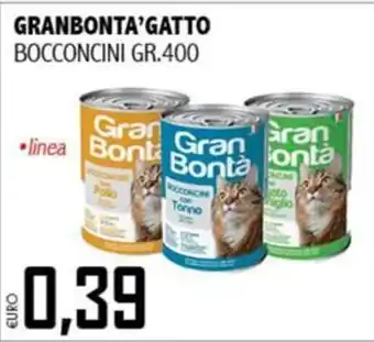 Big Food Gran Bonta' Gatto Bocconcini offerta