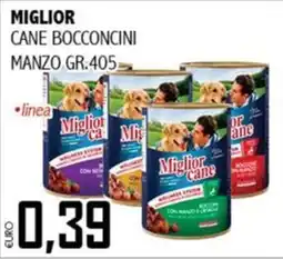 Big Food Miglior cane bocconcini offerta