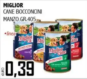 Big Food Miglior cane bocconcini offerta