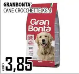 Big Food Gran Bontà cane crocchette offerta