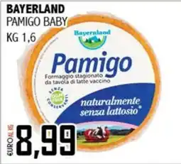 Big Food Pamigo Baby offerta
