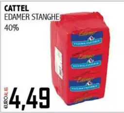 Big Food Cattel Edamer Stanghe offerta