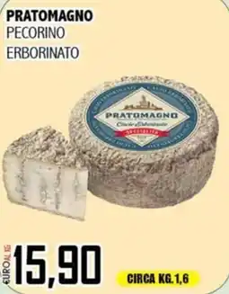 Big Food Pratomagno pecorino erborinato offerta