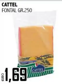 Big Food Fontal Cattel offerta