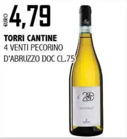 Big Food Torri Cantine 4 Venti Pecorino offerta