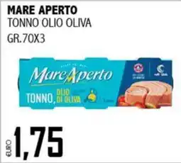 Big Food Mare Aperto tonno olio oliva offerta