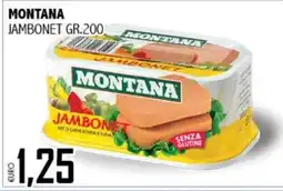 Big Food Montana Jambonet offerta