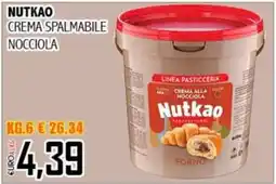 Big Food Crema spalmabile nocciola Nutkao offerta