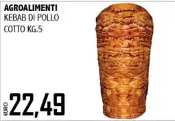 Big Food Kebab di pollo offerta