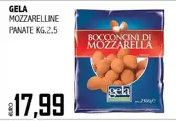 Big Food Bocconcini di mozzarella Gela offerta