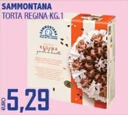 Big Food Sammontana torta regina offerta